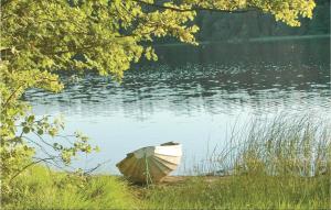4 Bedroom Lovely Home In Åsensbruk