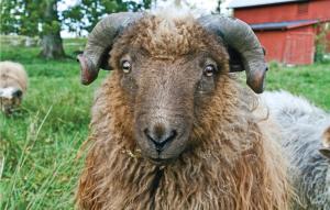 Stunning Home In Svenljunga With Wifi