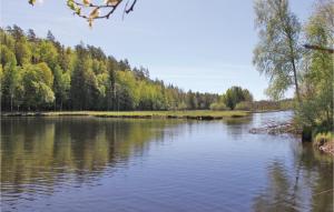 Awesome Home In Backaryd With Kitchen