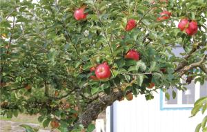 One-Bedroom Holiday Home In Sturko