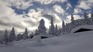 Schwaiger Alpen-Ferienwohnung auf 1800m
