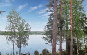 Four-Bedroom Holiday Home In Bodafors