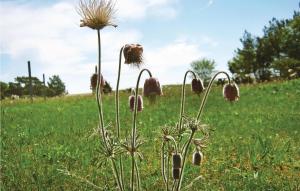 Holiday Home Katthammarsvik 21