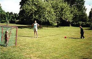 Awesome Home In Svärdsjö With Sauna