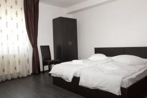 Twin Room room in Pensiunea Vidcom