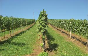 Two-Bedroom Apartment In Eisenberg