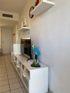 APARTMENT PALMAS DE COCO