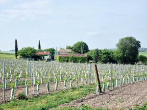 Maisons de vacances Fleurs de vigne, gite charentais au grand coeur : photos des chambres