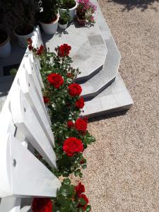 Manda & Marko Jurić