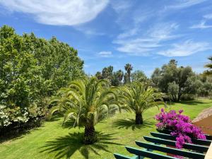 Golf, kitesurf, tennis, paddle, free bicycles - Apartment Andalusia