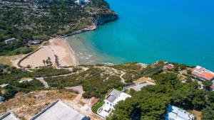 Villa D`Aria by BarbarHouse