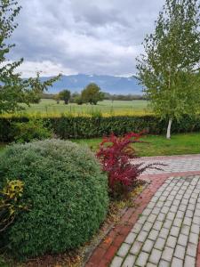 Guesthouse Green Fields