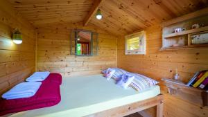 Robinzonski turizam "Robin` s Hood"