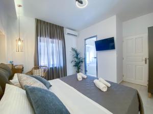 Camara Suite