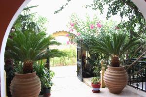 Nefeli Apartment 1st Floor - 3hvězdičkové hotely ve městě Agios Georgios