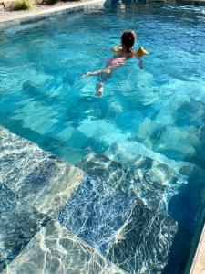 Le petit Mazet du Domaine avec sa piscine