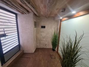 Collegio Suite img12