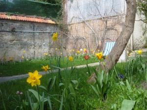 B&B / Chambres d'hotes Le Jardin de Cecile et Benoit - Bed and Breakfast : photos des chambres