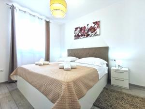 Seka apartments with a pool