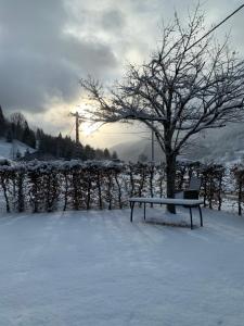 Appartements Gites Sous Les Loges : photos des chambres