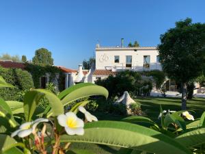 casa Namaste img34