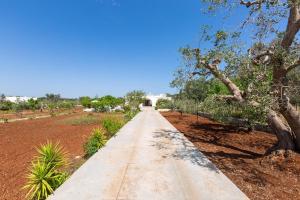 Villa Cucunci by BarbarHouse