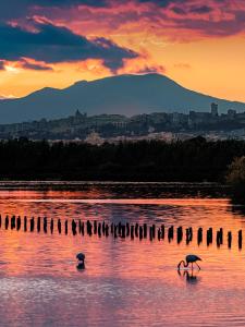 Luxury Poetto Apartments img53