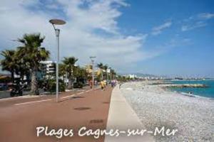 Appartements La petite Luciole entre mer et montagne. : photos des chambres