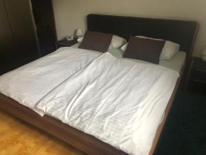 Klagenfurt`s Loft