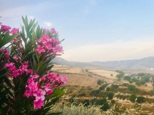 Panoramic Holidays - Premium 8