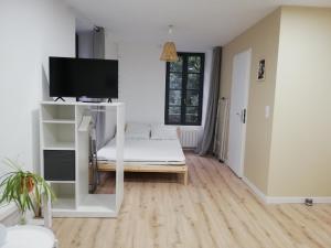 Appartements Studio Cosy Hyper centre - Fibre - Netflix : photos des chambres