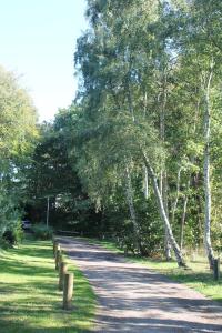 A Hotel Com Haus Strandgut Apartment Ahrenshoop Germany