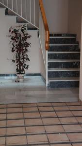 Mar Menor apartments