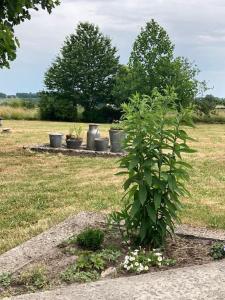 Maisons de vacances Longere charentaise en pleine campagne vallonnee. : photos des chambres