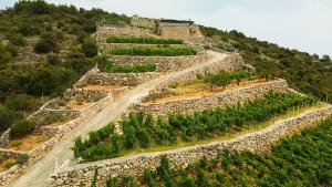 House REX - Poljica Marina, with a private pool