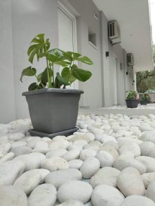 Camping Corali & Apartments