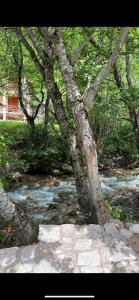 Vikendica Rajsko selo