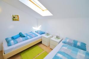 Apartment P.A.L.M.E.