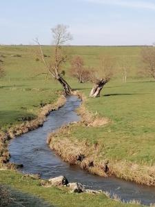 Gite Fée Grenouille