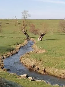 Gite Fée Grenouille - 蒙索莱米讷