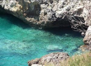 B&B Posto di blocco