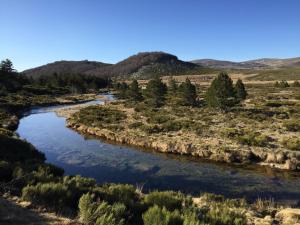 Maisons de vacances Gite Mont Lozere : photos des chambres