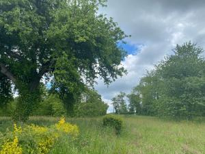 Maisons de vacances Spacious country house in Normandie : photos des chambres