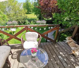 Leszczynowy Sad - apartament z kominkiem i ogrodem