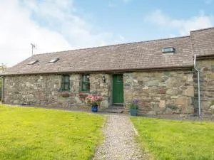 Foxglove - Henrys Moat