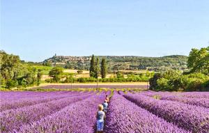 Appartements Stunning apartment in Remoulins with WiFi : photos des chambres