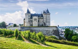 Maisons de vacances Cozy Home In La Chapelle-sur-loire With Wifi : photos des chambres