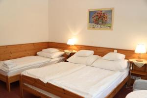 Hajdú Kastély Hotel