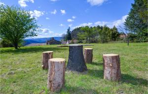 Maisons de vacances Awesome Home In Bordezac With Outdoor Swimming Pool : photos des chambres