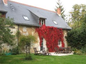 Maisons de vacances Gite enchanteur 4 km de Chinon avec jardin prive, cheminee, salle de jeux et equipements bebe inclus - FR-1-381-188 : photos des chambres